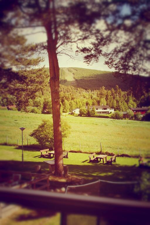 Dovrefjell Hotel Dombås Eksteriør bilde